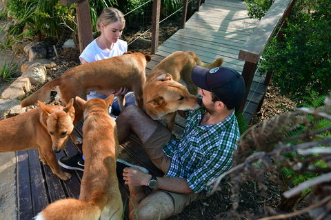 Dingo Den Discovery Experience - Accommodation Rockhampton 1