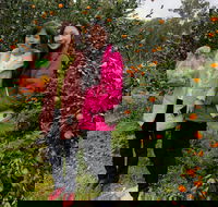 Fruit Taste Adventure Tours - Accommodation Rockhampton