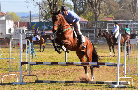 Glen Innes Pastoral And Agricultural Show - Accommodation Rockhampton 0