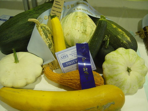 Goulburn Show - Accommodation Rockhampton 0