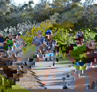 Husky Half Running Festival - Accommodation Rockhampton