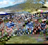 Jamming at Jingellic - Accommodation Rockhampton