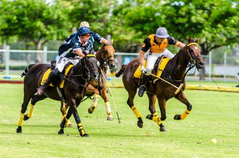 Land Rover Polo  In The City - Accommodation Rockhampton 1