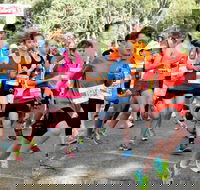 MAAS Group Dubbo Stampede Running Festival - Accommodation Rockhampton