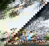 Music on the Murray - Accommodation Rockhampton