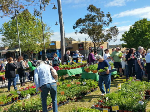 Springwood Growers Market - Accommodation Rockhampton 1