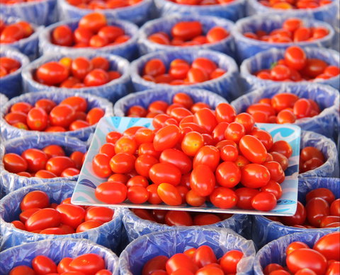 The Entrance Market - Accommodation Rockhampton 2