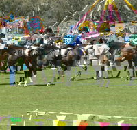 Wangaratta Show - Accommodation Rockhampton