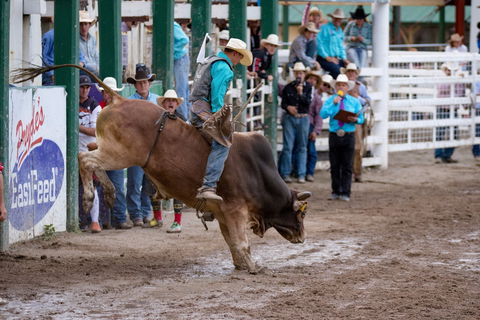 Warwick Rodeo National APRA National Finals And Warwick Gold Cup Campdraft - Accommodation Rockhampton 1