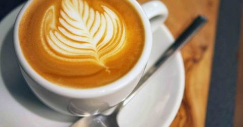 A Wild Night Out - Spring - Accommodation Rockhampton 3