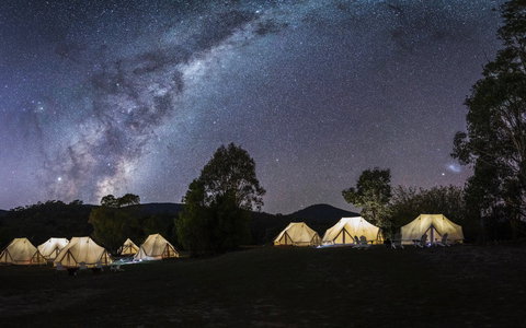 A Wild Night Out - Spring - Accommodation Rockhampton 6