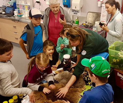 A Wild Night Out - Spring - Accommodation Rockhampton 7