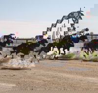 Bedourie Races and Rodeo - Accommodation Rockhampton