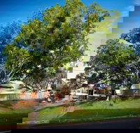 Big Bat Wildlife and Eco Festival - Accommodation Rockhampton