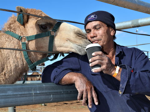 Boulia Camel Races - Accommodation Rockhampton 2