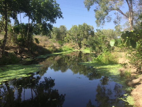 Conservation Volunteers Australia Townsville - Creekwatch - Accommodation Rockhampton 0