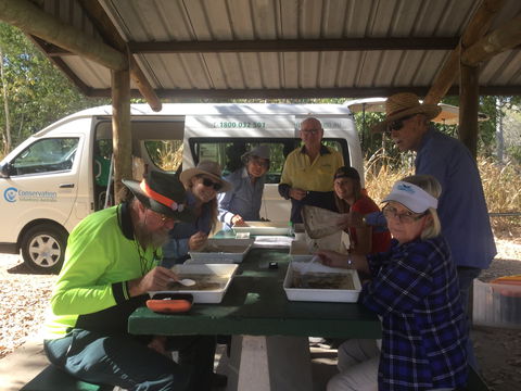 Conservation Volunteers Australia Townsville - Creekwatch - Accommodation Rockhampton 1