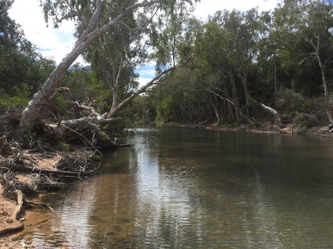 Conservation Volunteers Australia Townsville - Creekwatch - Accommodation Rockhampton 2