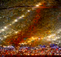 Festivale - Accommodation Rockhampton