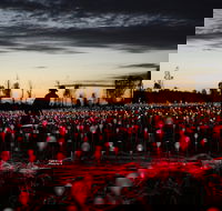 Field of Light Uluru - Accommodation Rockhampton