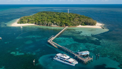 Great Adventures Green Island Ocean Swim - Accommodation Rockhampton 0