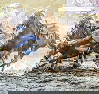 Gundagai Rodeo - Accommodation Rockhampton
