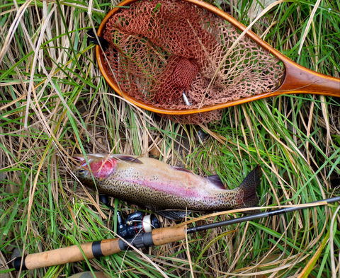 Guyra TroutFest - Accommodation Rockhampton 0