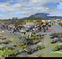 Hobart Showground Sunday Market - Weekly - Accommodation Rockhampton