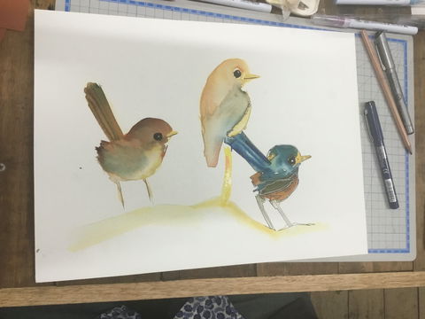 Ink & Watercolour Wash Illustration Workshop - Accommodation Rockhampton 0