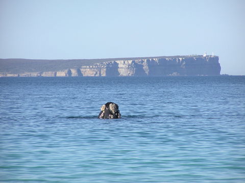 Jervis Bay's Sydney To Hobart Experience - Accommodation Rockhampton 0