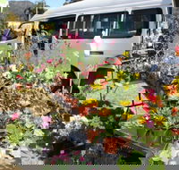 Johns River Country Markets - Accommodation Rockhampton