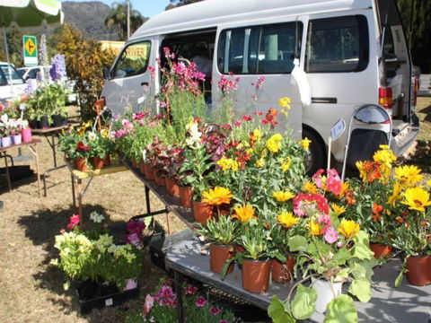 Johns River Country Markets - Accommodation Rockhampton 0