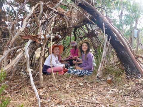 July 2020 Holidays- Forest Adventures Treasure Hunt - Accommodation Rockhampton 2
