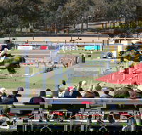JumpingWillinga - Accommodation Rockhampton