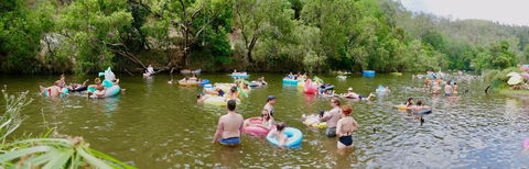 Jungle Love Festival - Accommodation Rockhampton 1