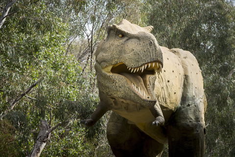 Lost Sanctuary At Healesville Sanctuary - Accommodation Rockhampton 2