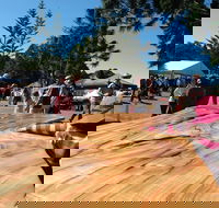 Maleny Wood Expo From Seed to Fine Furniture - Accommodation Rockhampton