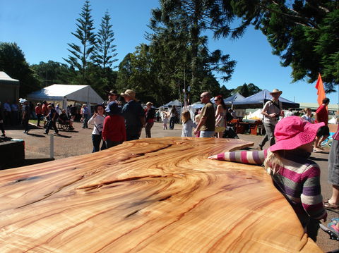 Maleny Wood Expo: From Seed To Fine Furniture - Accommodation Rockhampton 0