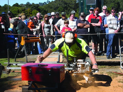 Maleny Wood Expo: From Seed To Fine Furniture - Accommodation Rockhampton 2