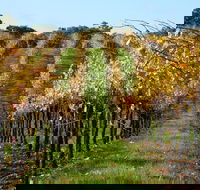 Miners Ridge Wine Tasting - Accommodation Rockhampton