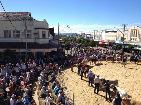 NCMC Casino Beef Week - Accommodation Rockhampton 0