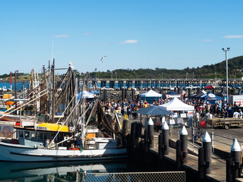 Ocean Harvest Festival - Accommodation Rockhampton 0