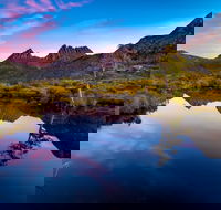 Pfeiffer Wines Photographic Exhibition - Wodonga Albury Camera Club - Accommodation Rockhampton