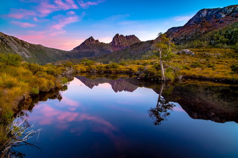 Pfeiffer Wines Photographic Exhibition - Wodonga Albury Camera Club - Accommodation Rockhampton 0