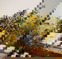 Pomonal Native Flower Show - Accommodation Rockhampton