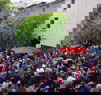 Rektango - Accommodation Rockhampton