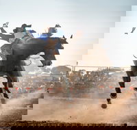 Rodeo by the Sea - Streaky Bay - Accommodation Rockhampton