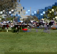 Sakura Matsuri  - Cherry Blossom Festival - in doubt due to Covid-19 - Accommodation Rockhampton