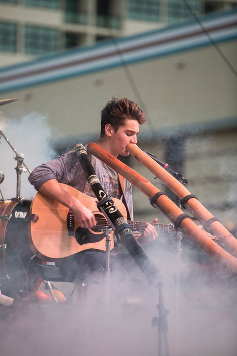 Sarina Beach Coconut Festival - Accommodation Rockhampton 1