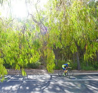 SunSmart FunMan Triathlon - Accommodation Rockhampton